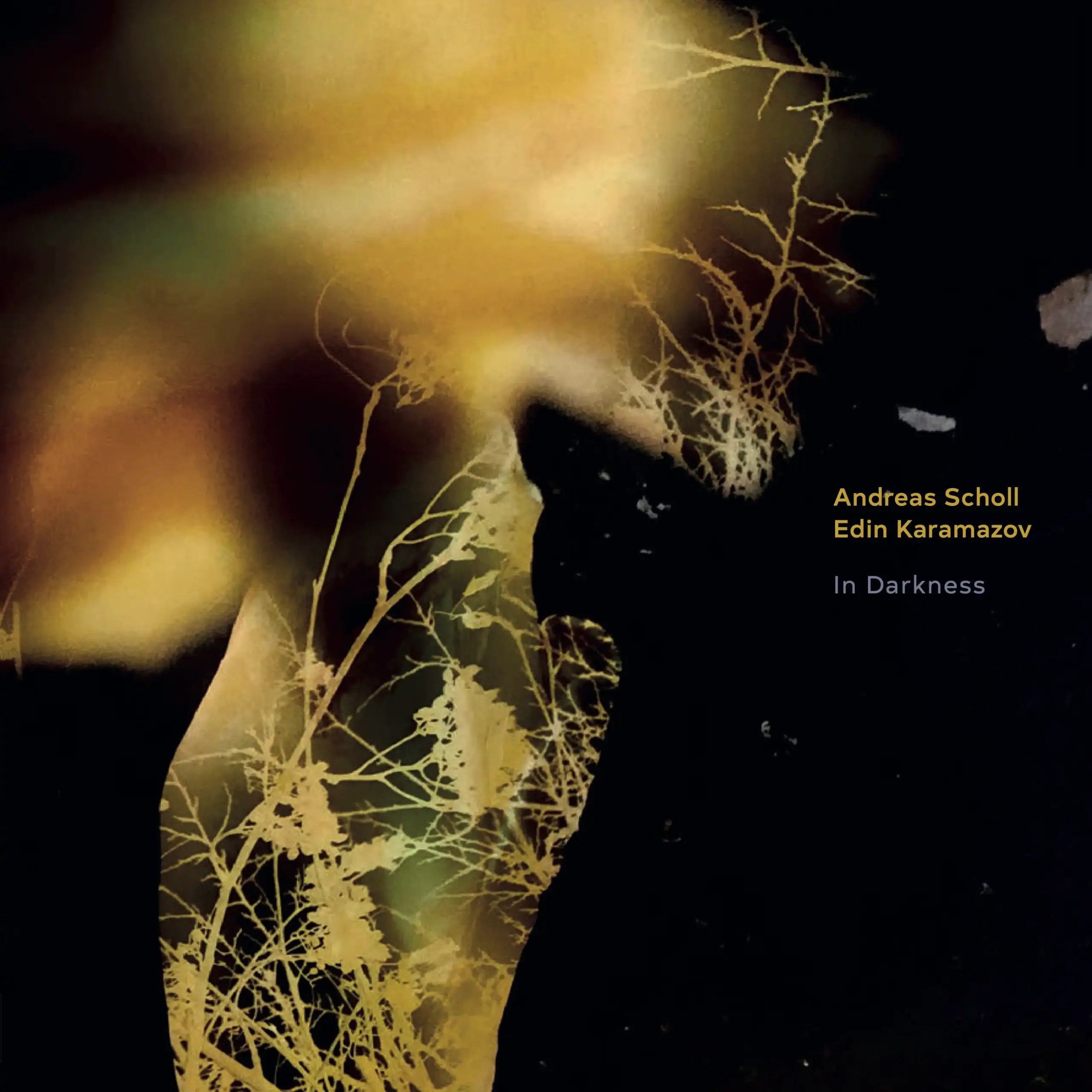 Andreas Scholl/Edin Karamazov - In Darkness