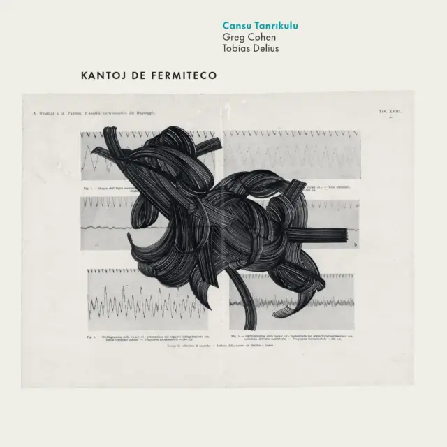 Cansu Tanrikulu – Kantoj de Fermiteco - front cover